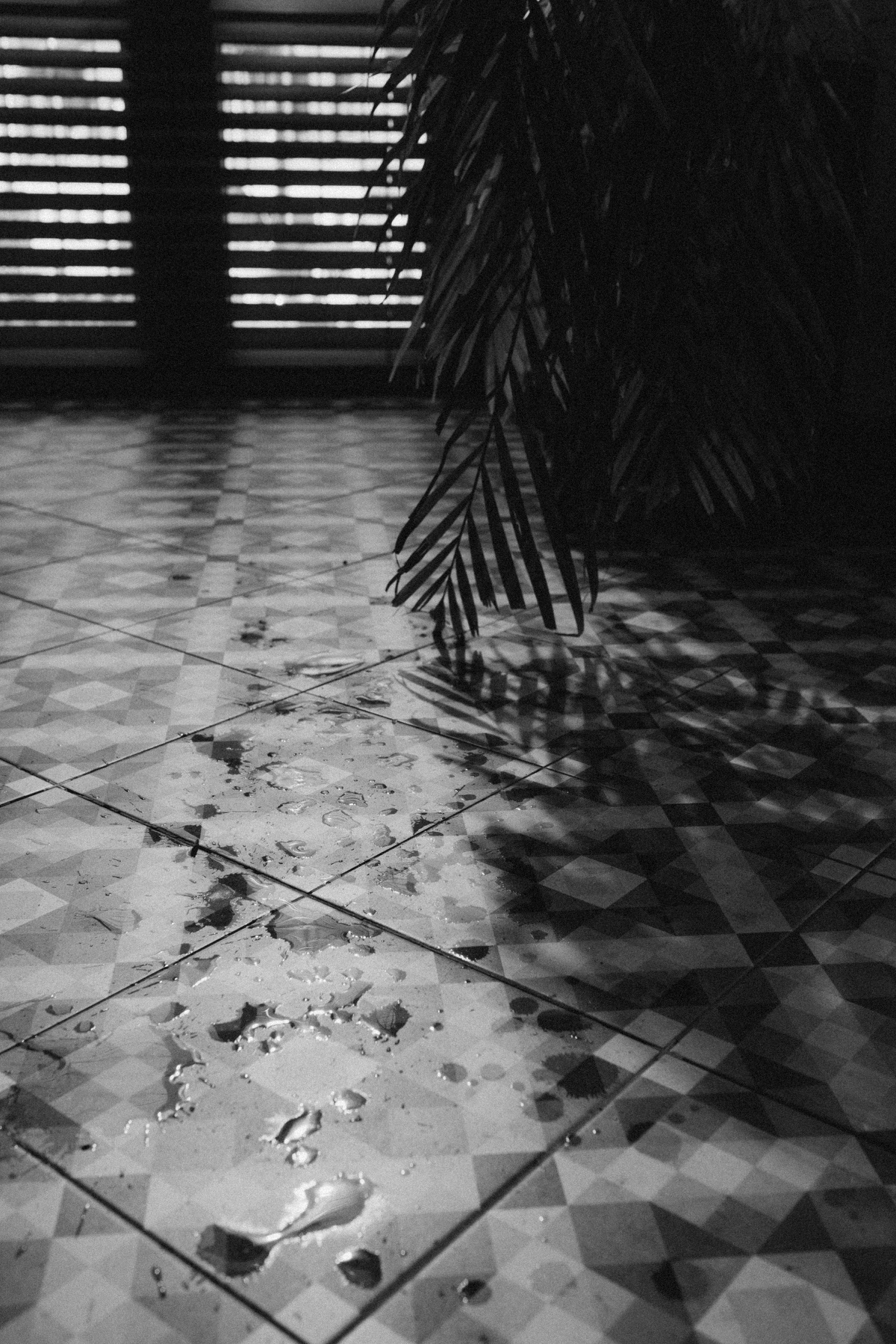 Water pooled across an indoor tile floor
